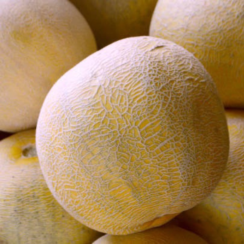 

Buah melon madu fresh (-+2kg)