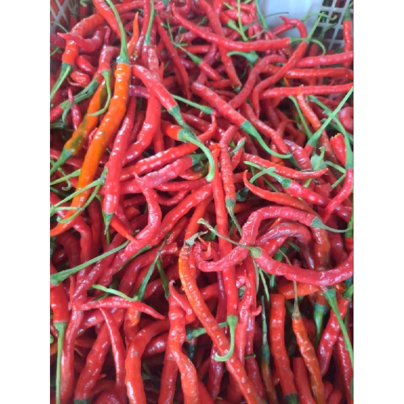 

Cabai Merah Keriting 500gram