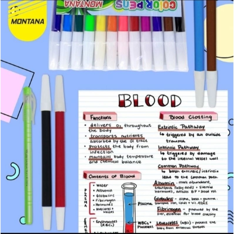 

Spidol Warna Montana MP-838