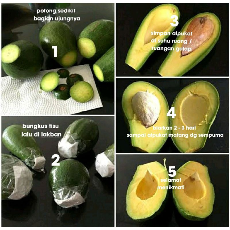 

QUEEN BUAH - BUAH ALPUKAT MENTEGA JAWA TENGAH 1Kg