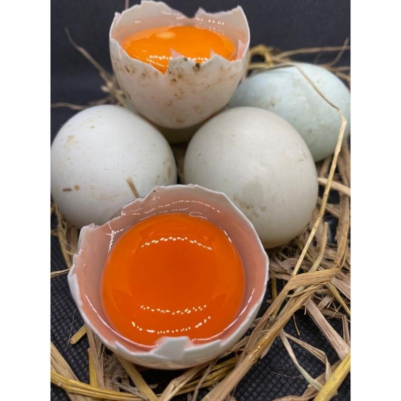 

{LB} TELUR BEBEK PER BUTIR // KIRIM INSTAN