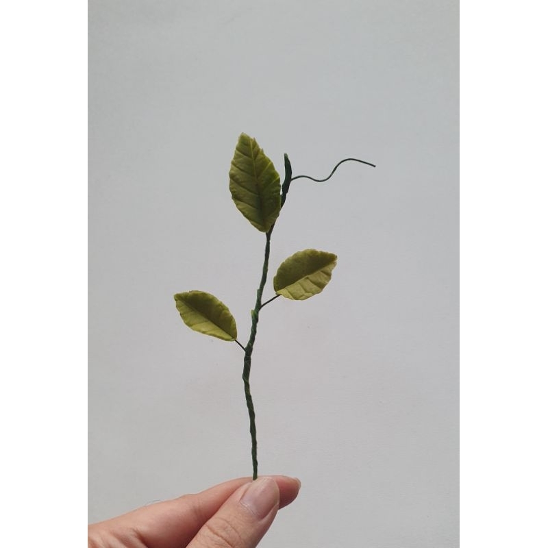 

ranting daun mawar / edible / veganpaste