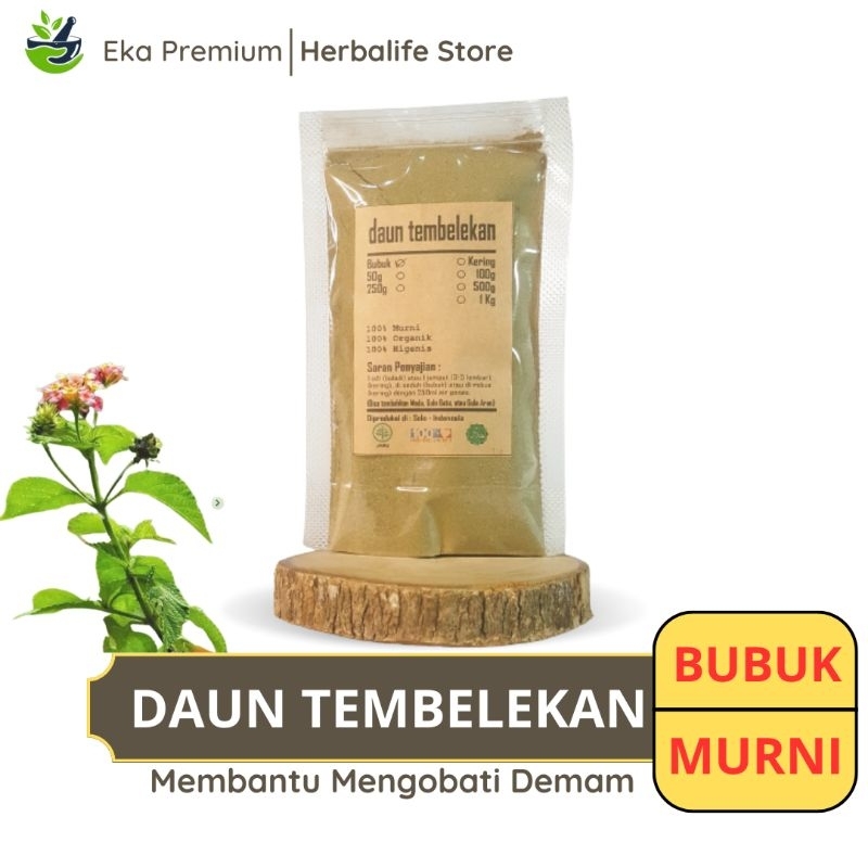 

DAUN TEMBELEKAN BUBUK Kering Ramuan Rempah Herbal Murni Jamu Minuman Alami Tradisional Simplisia Lantana Camara