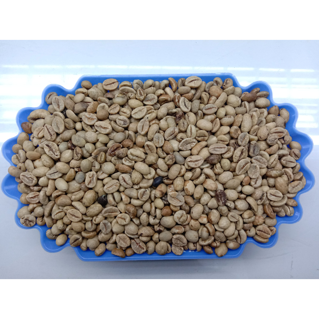 

AP1 GRADE 3 / ROBUSTA GREEN BEAN / BIJI KOPI ROBUSTA LAMPUNG - 1 KG