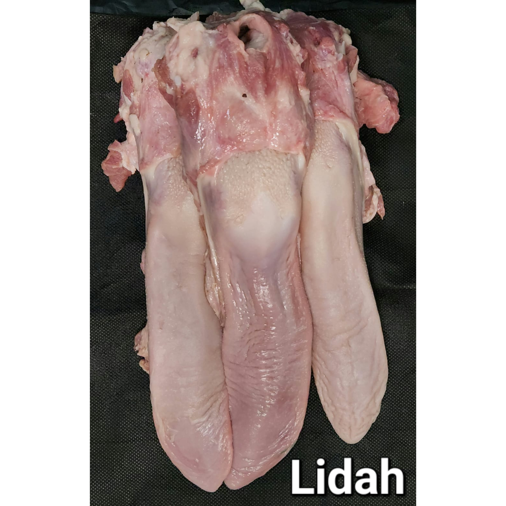 

Lidah Babi Mentah per 1 pcs PREMIUM (BABI ORGANIK)