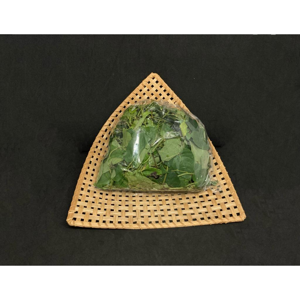 

Daun simbukan segar, daun kahitutan, daun kentut/daun sembukan