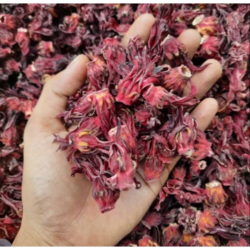 

bunga Rosella kering