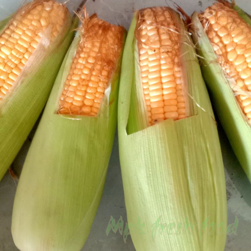 

Jagung manis || per buah