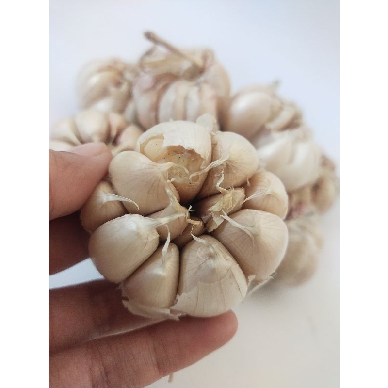 

(LIVE) BAWANG PUTIH 1kg