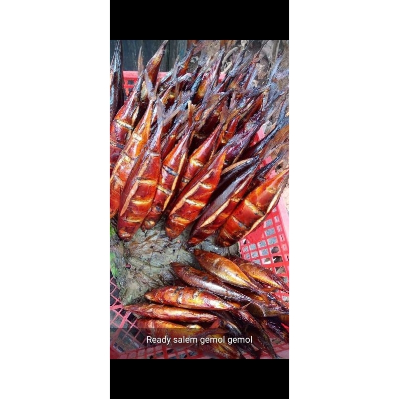 

Salem | Ikan Salem | Asapan Salem murah