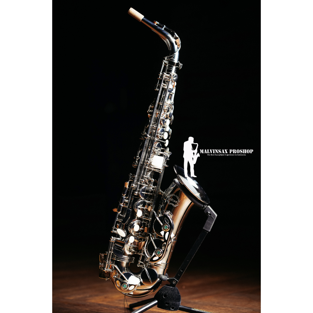 Chateau Alto Saxophone CAS-22N Alto Saxophone
