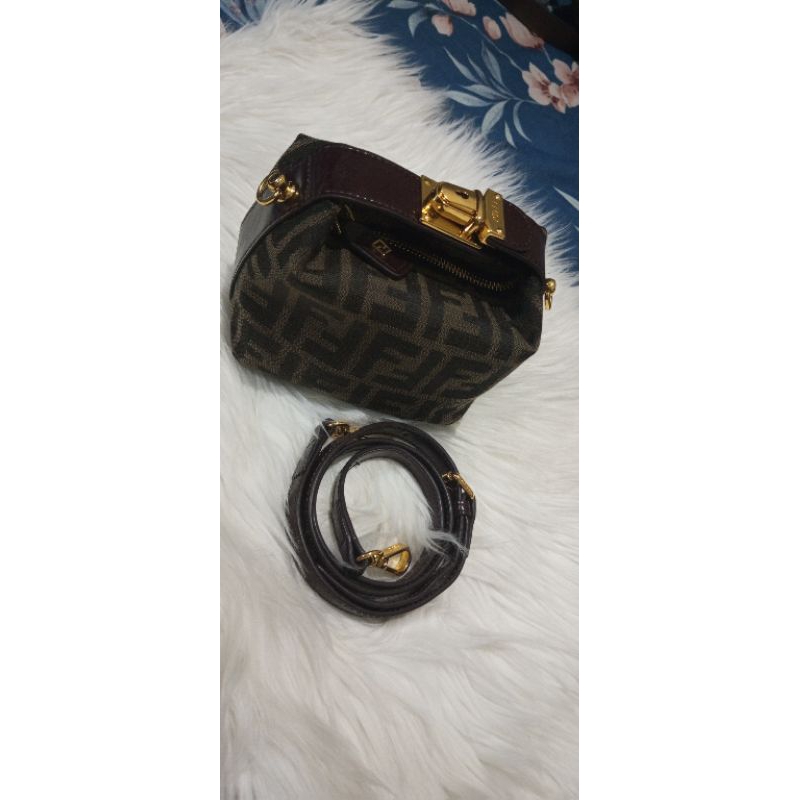 Fendi Zucca Bag