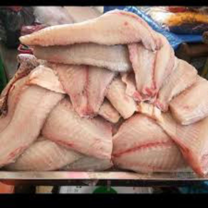 

Boneless Fillet ikan tilapia / nila / mujaer fresh segar dadakan frozen