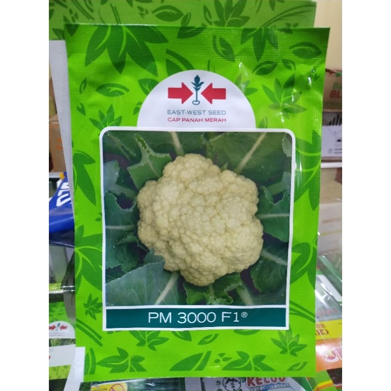 bibit bunga kol PM 3000 F1 10grm bunga kol terbaru panah merah