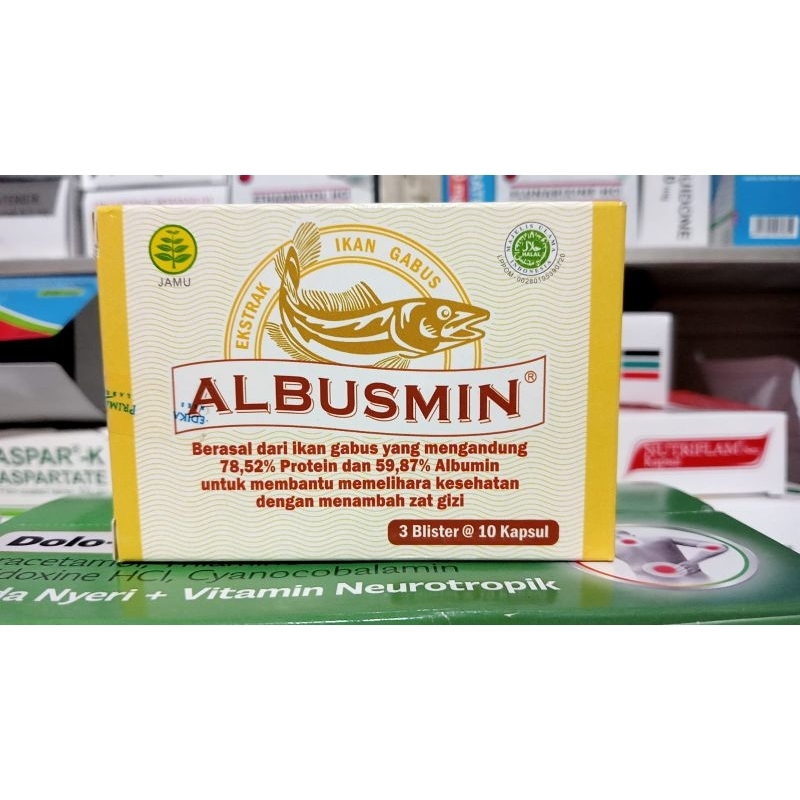 Albusmin kapsul ikan gabus