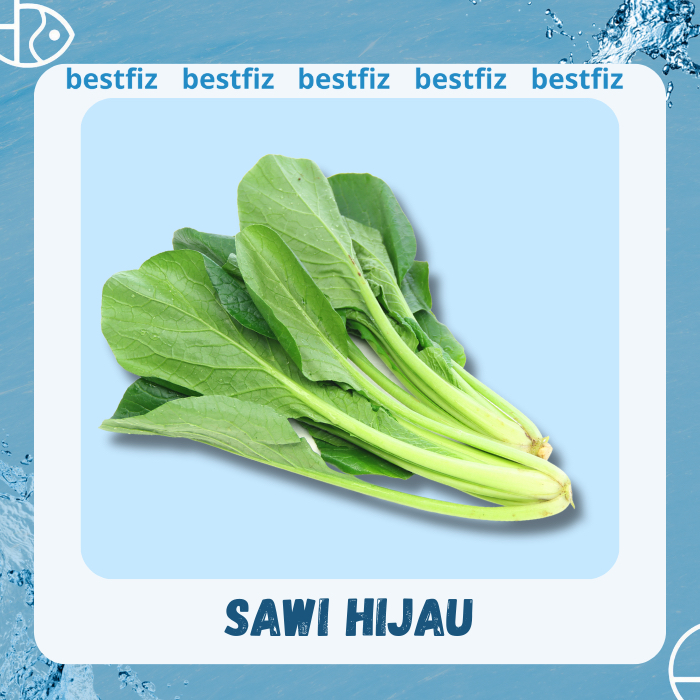 

Sawi Hijau
