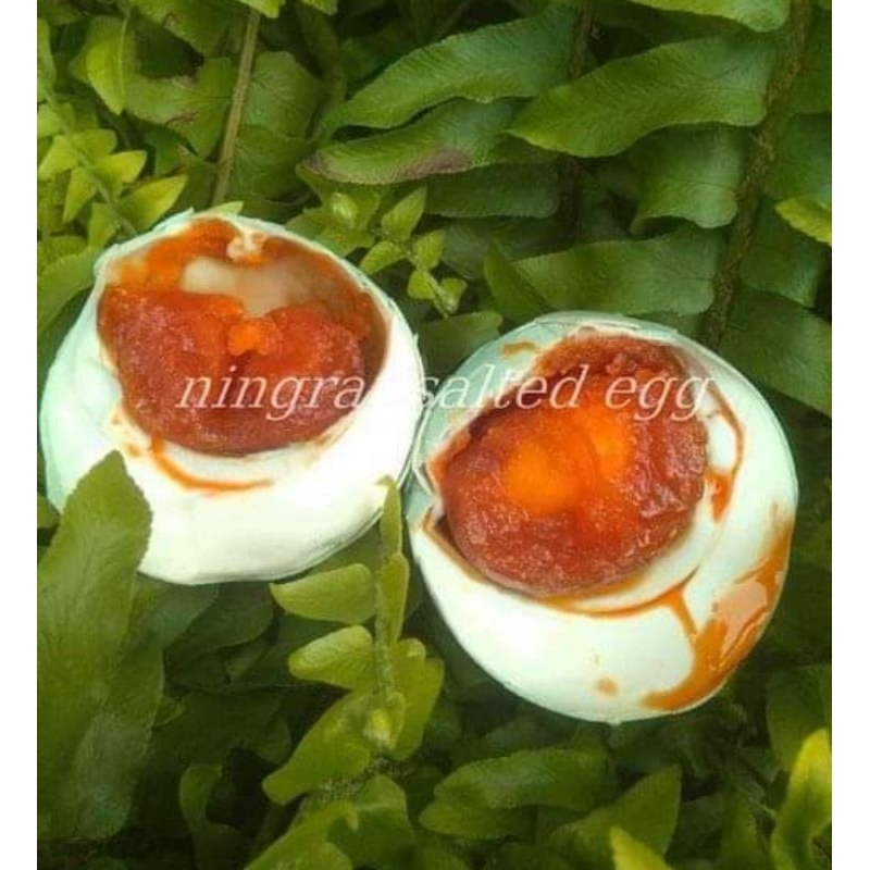 

TELUR ASIN NINGRAT || TELUR ASIN MASIR || satu paket isi 10