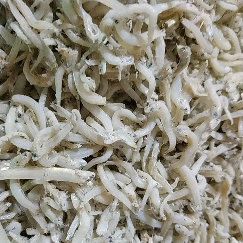 

Teri Tauge / Teri Toge Grade A 500 gram
