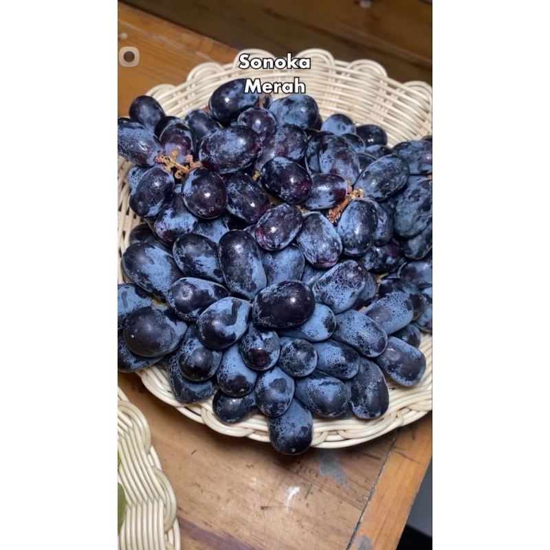 

anggur hitam