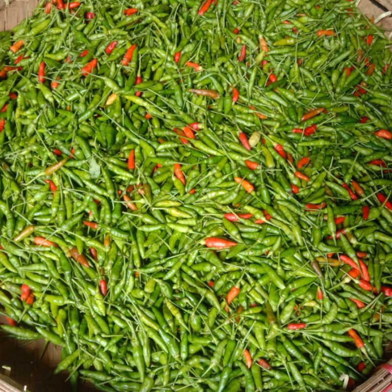 

[Fresh] Cabe Rawit Hijau 500 Gram Fresh Segar Pedas | Hasil Lampung