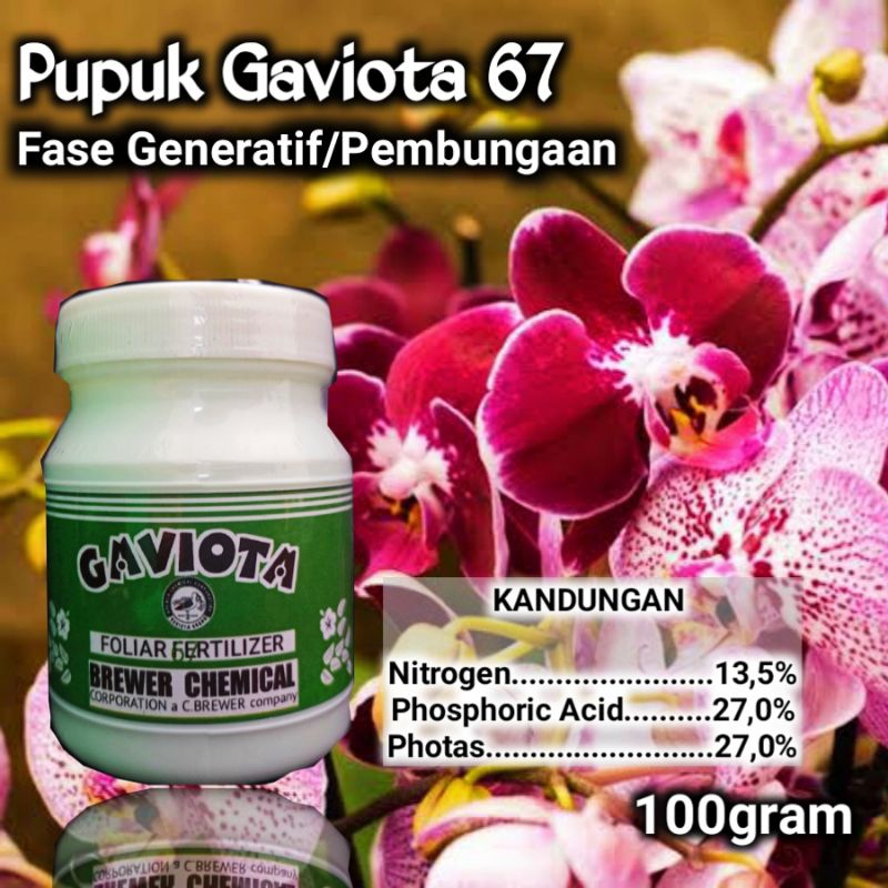 _Adudushop Gaviota 67 Pupuk Anggrek Untuk Pembungaan 100Gr