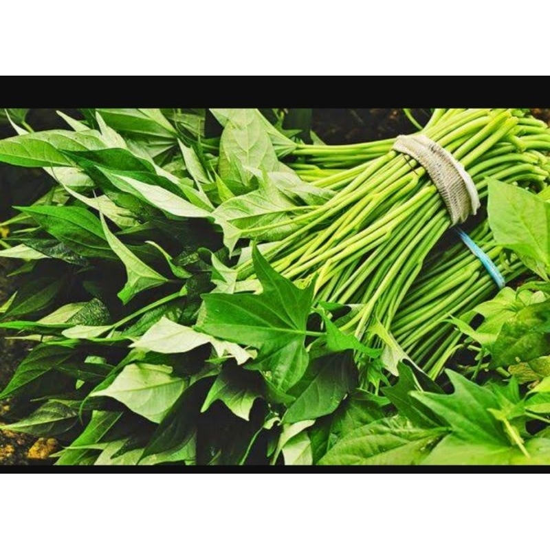 

daun ubi jalar