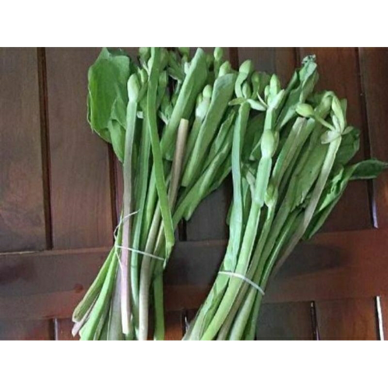 

Daun Genjer Segar 2 ikat