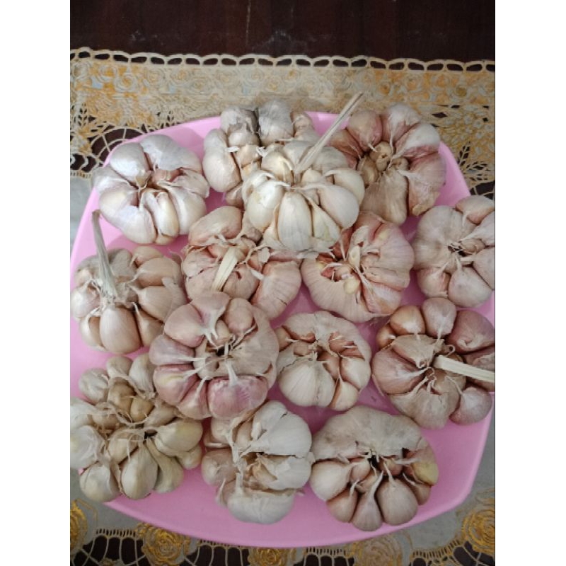 

BawangPutih Lokal/500GRAM