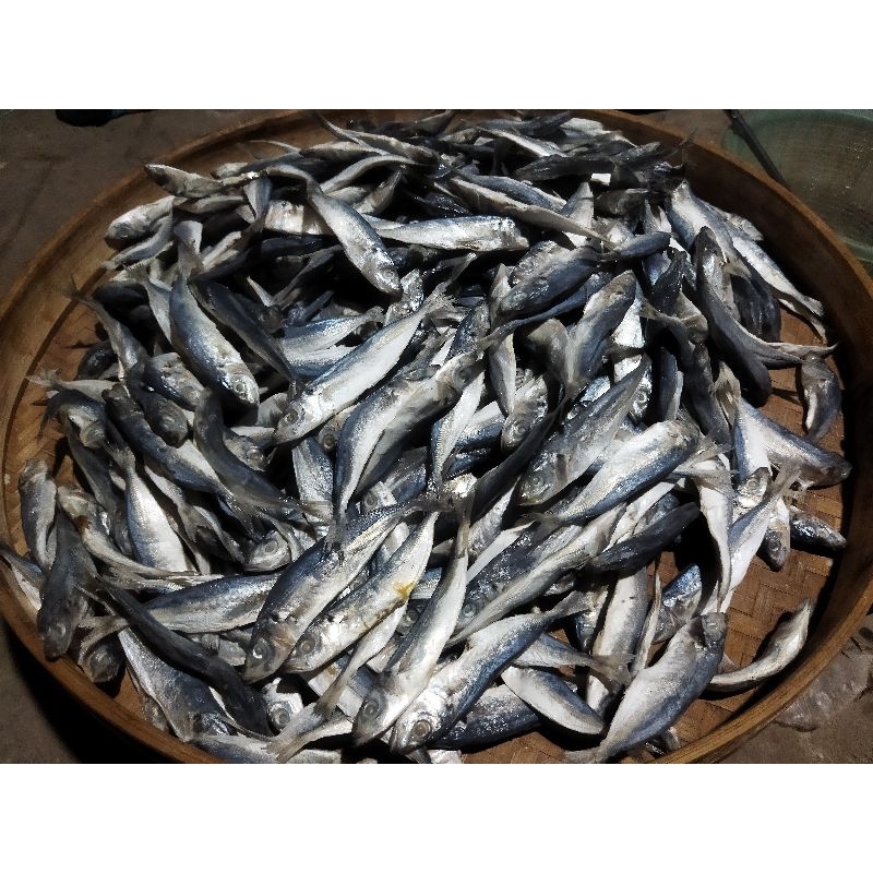 

IKAN KERING / GERIH PEDO GURIH GURIH