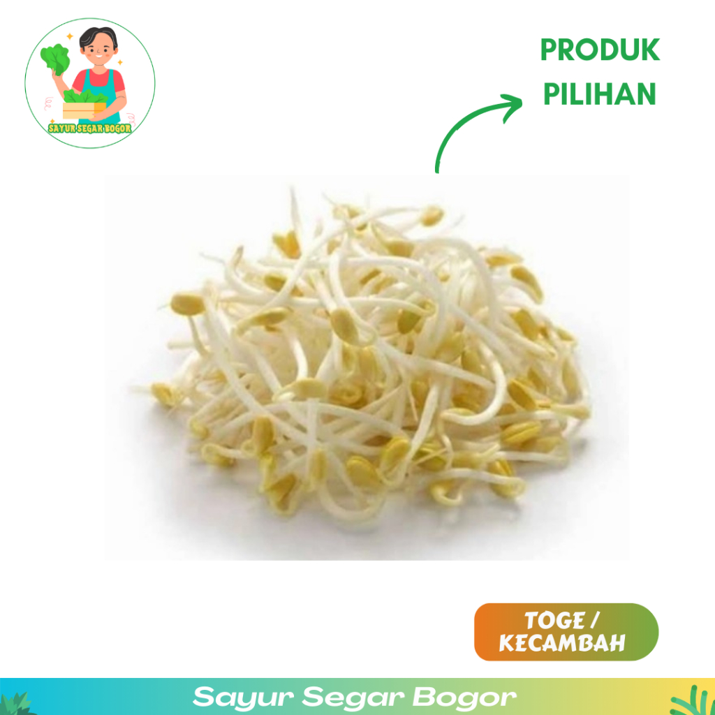 

Toge Bengkok Toge Goreng