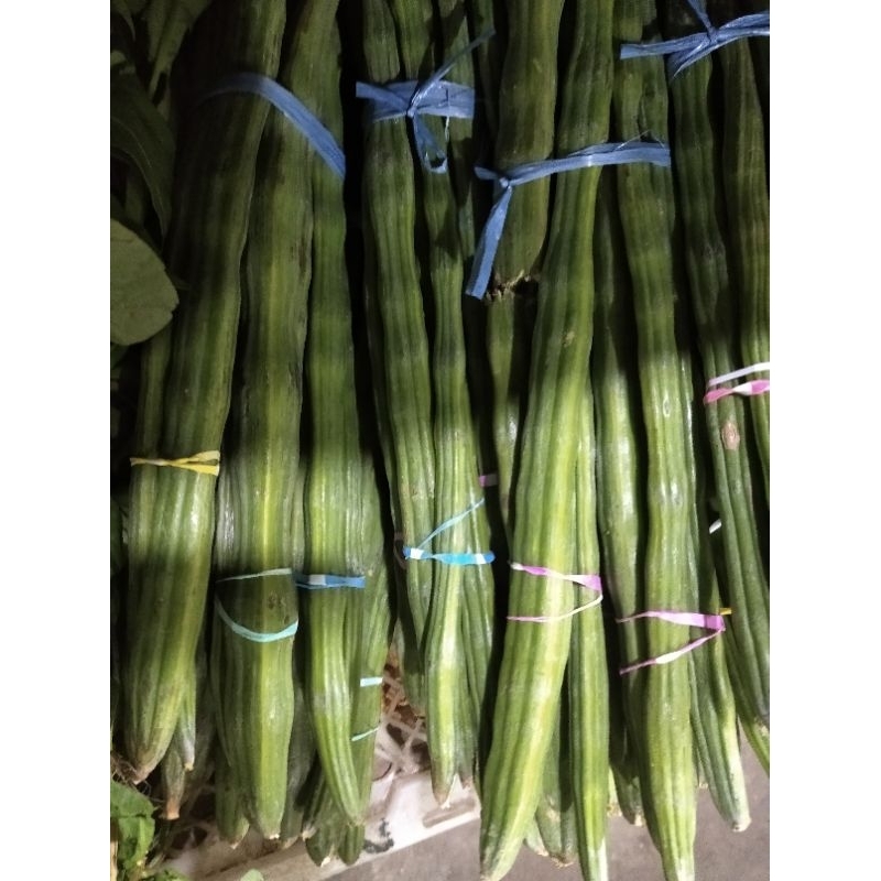 

SAYUR KLENTANG KELENTANG BUAH KELOR ikat