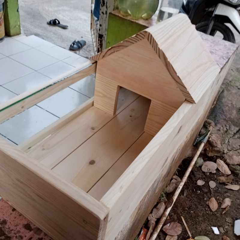 Kandang Rumah Kura2 Sulcata / torto