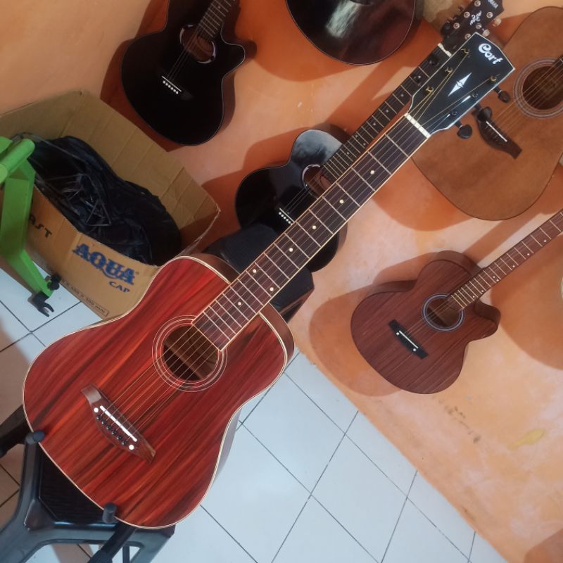 gitar junior cort 3/4 string kwalitas top