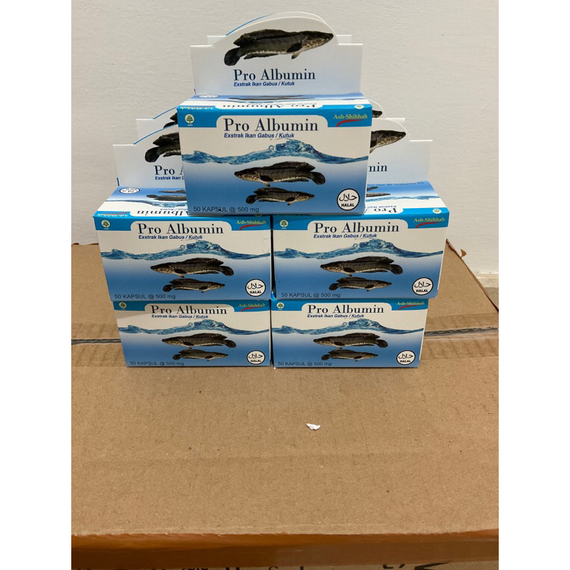 proalbumin pro albumin ekstrak ikan gabus kutuk original albumin