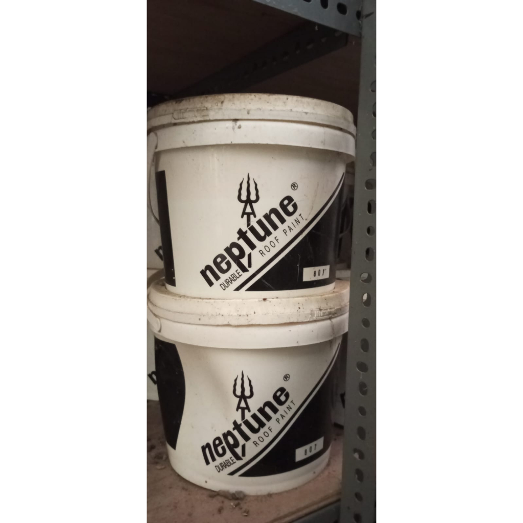 cat Neptune roof paint