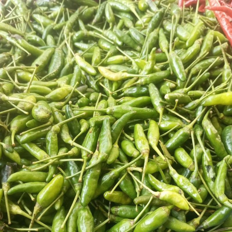 

Cabe Rawit Hijau 250 gram