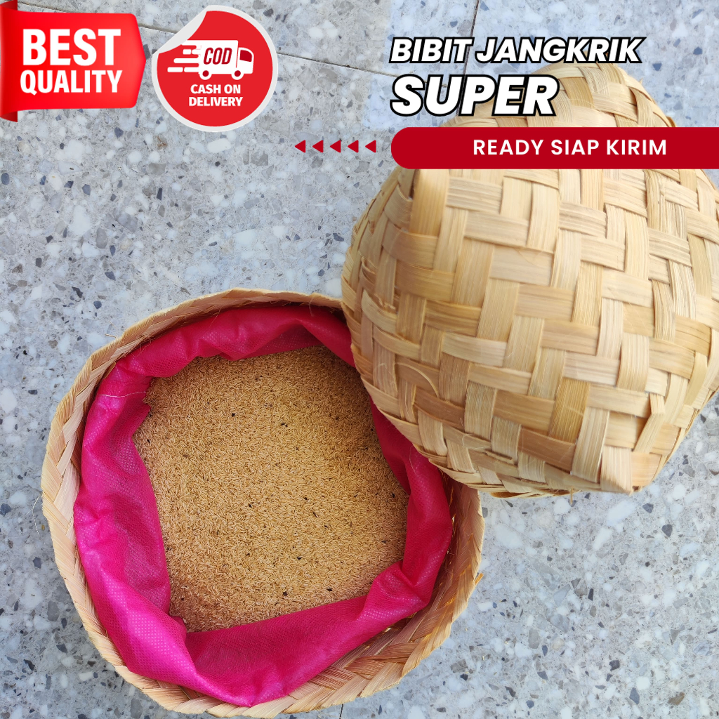 

jual telur jangkrik jombang 250 gram super siap netas ready siap kirim seluruh indonesia bibit telur jangkrik telur jangkrik jual telur jangkrik alam madu kulaitas super 100% menetas