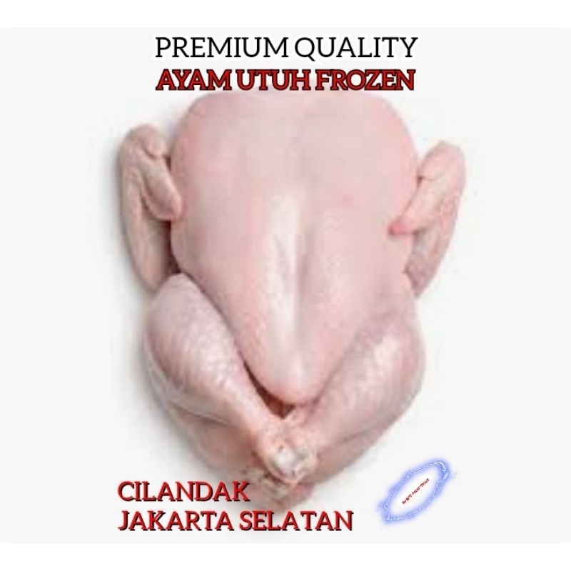 

Ayam Broiler Frozen KUALITAS PREMIUM