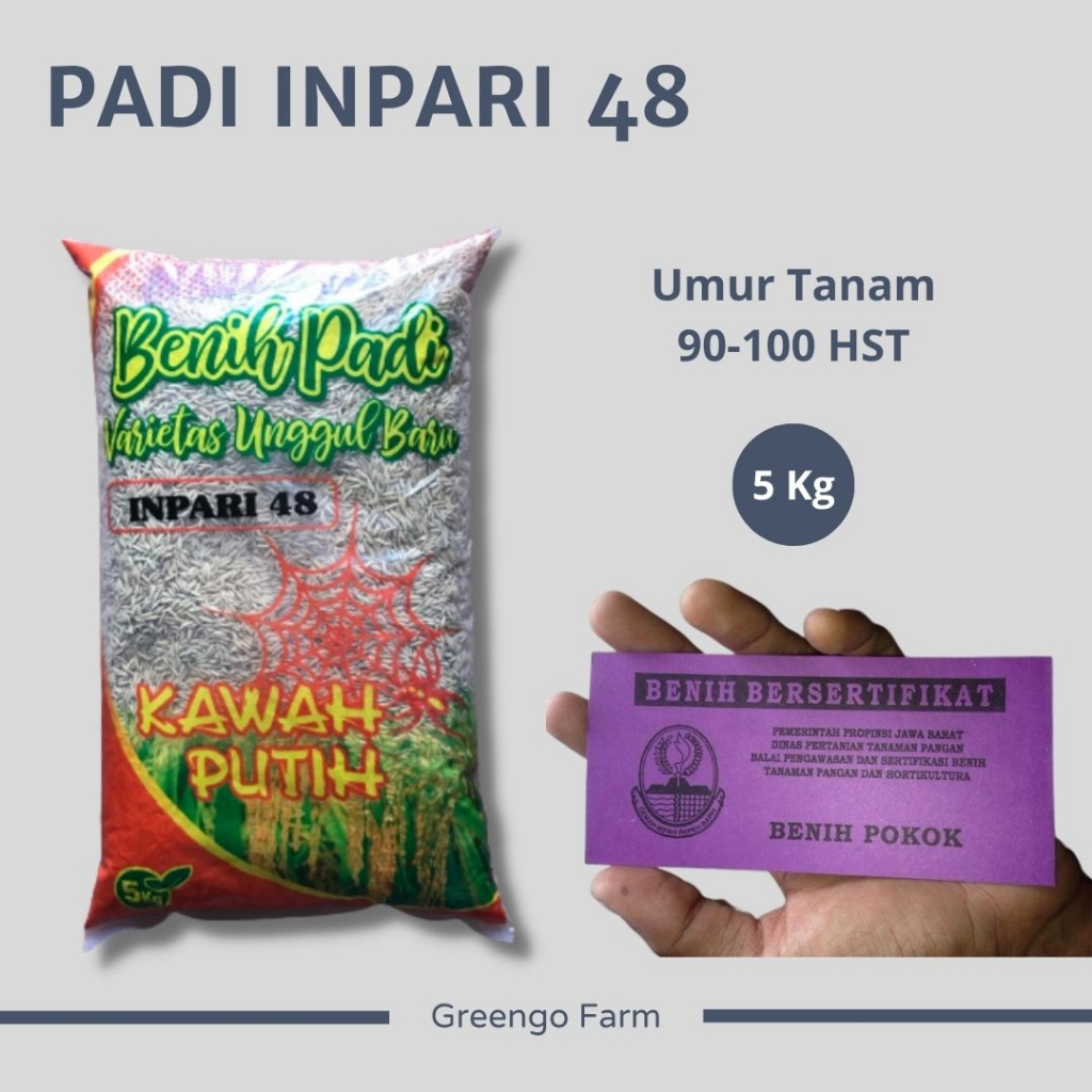 Benih Padi Inpari 48 tahan blast Kemasan 5Kg Label Ungu