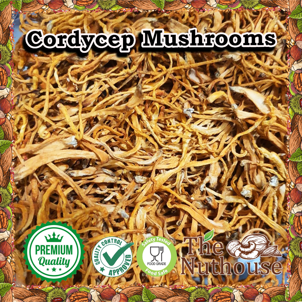 

500gr Cordycep Mushrooms / Chong Cao Hua 虫草花 /Jamur Bunga [Grade A]
