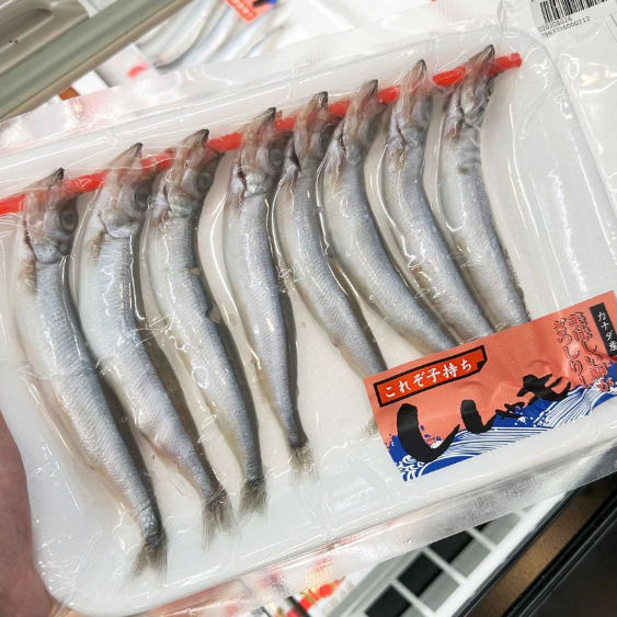 

Komochi Shishamo / Capelin Frozen Fish / Ikan Telur Beku Jepang ししゃも Size L 8 Pcs 170/190 Gr