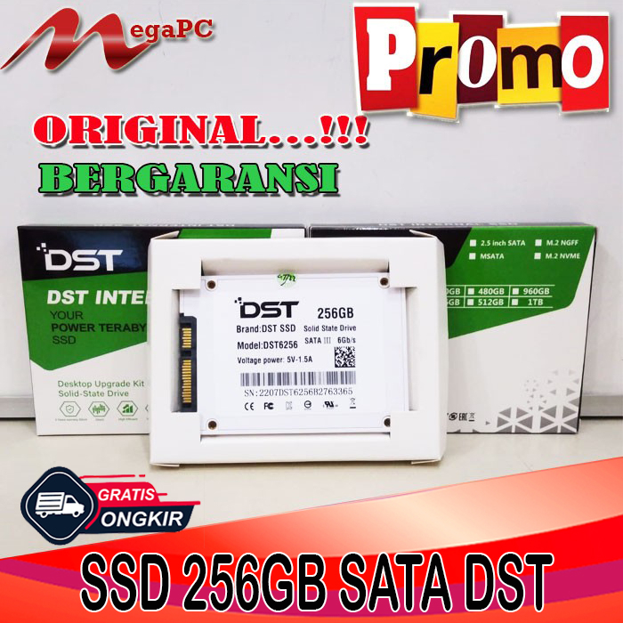 Promo SSD 256GB Merk DST