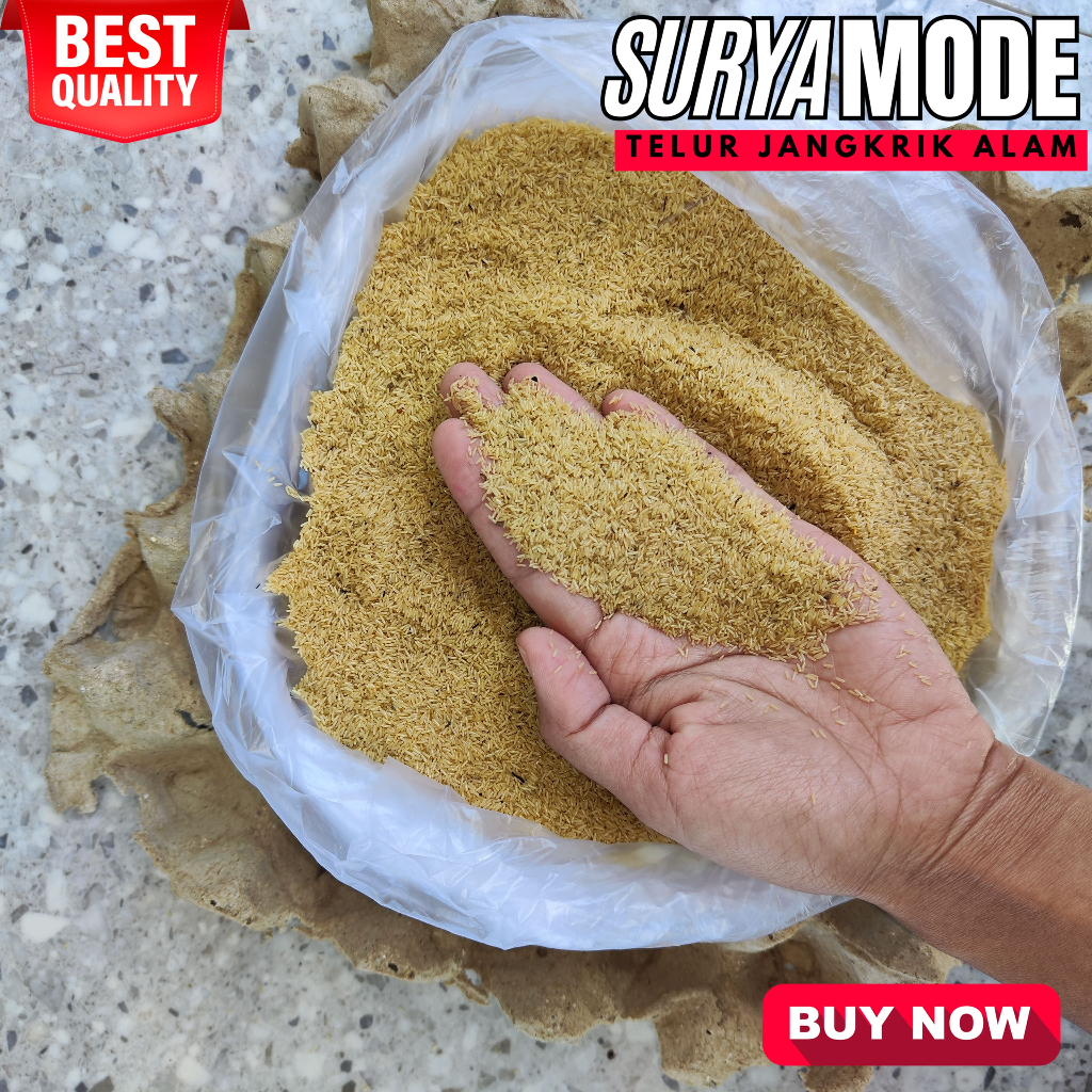 TELUR JANGKRIK ALAM MADU BANDUNG MURAH KEMASAN 1 KG LANGSUNG KIRIM