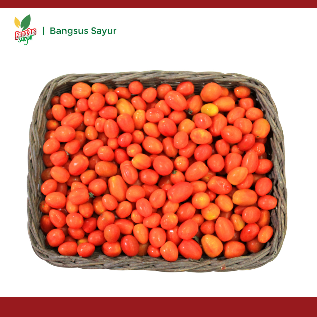 

Tomat Ceri 500Gr Segar Murah