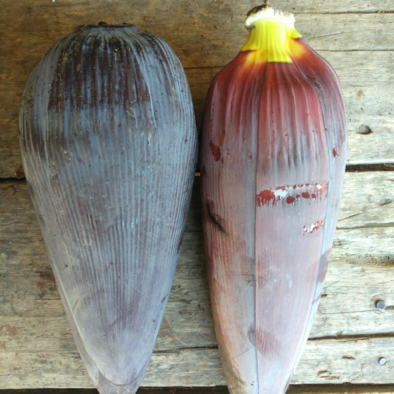 

jantung pisang sayur 1kg