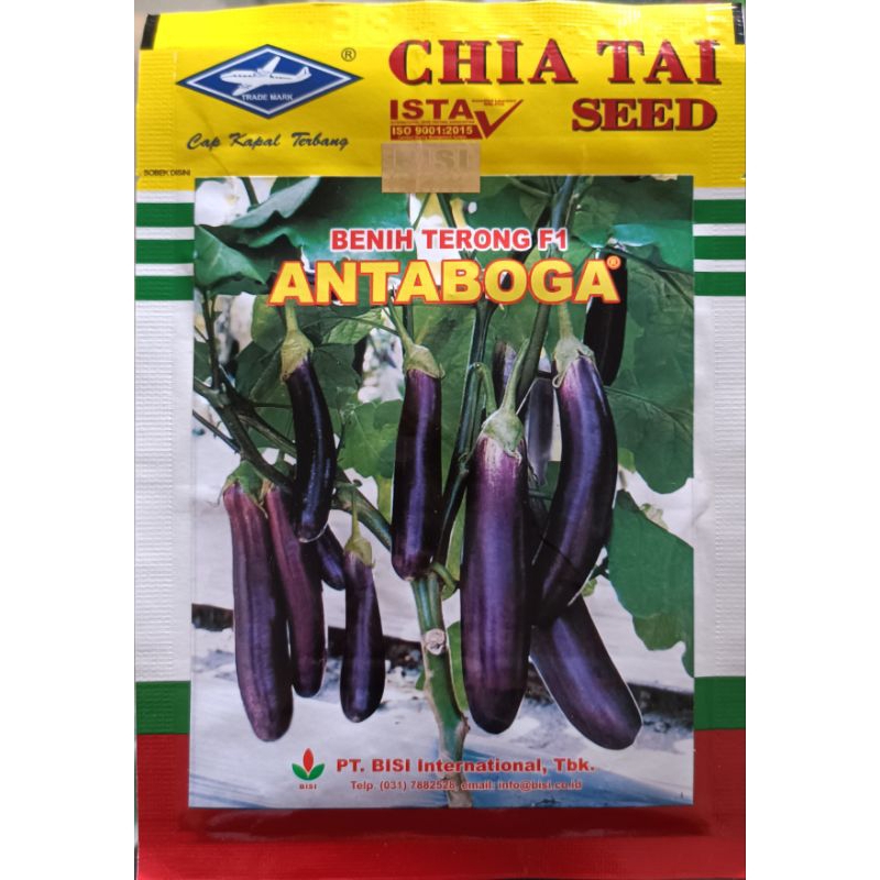 

TERONG ANTABOGA CAP PESAWAT TERBANG