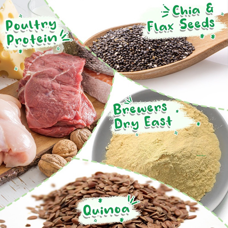 Olive Care Paket Gembul BULU dan NAFSU MAKAN