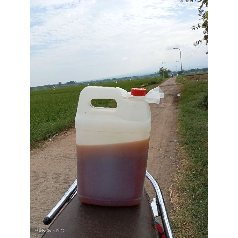 

MADU RANDU KEMASAN 5 (kg)100%MURNI