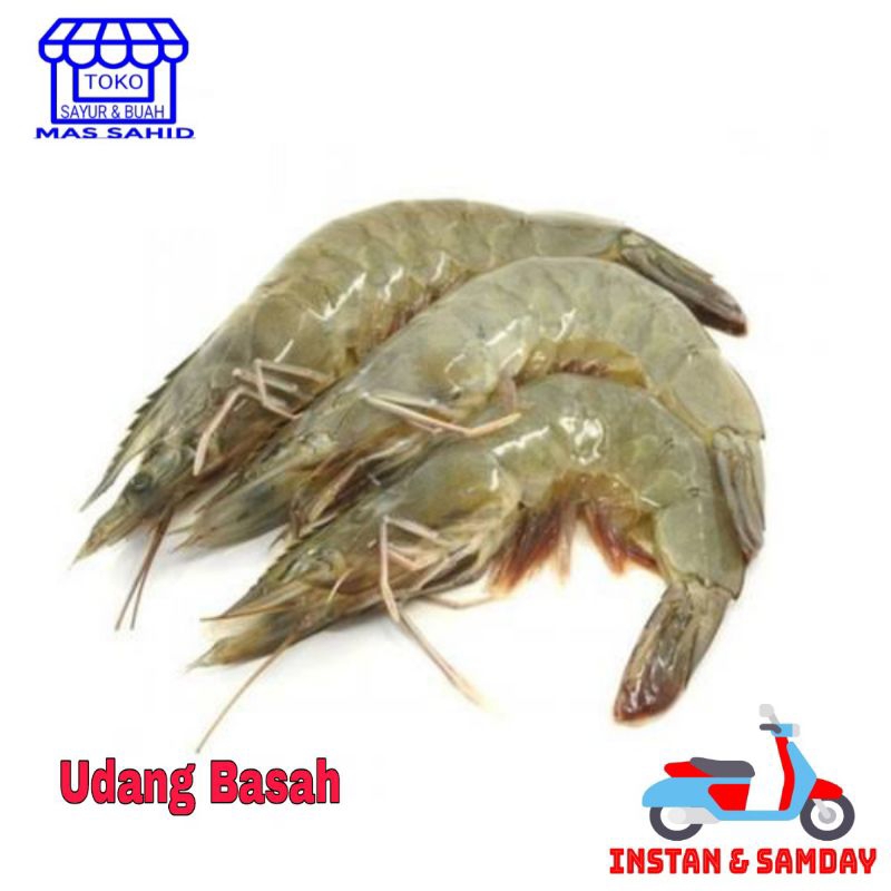 

Ay00! Udang Basah Fresh Udang Segar Kirim instan & someday