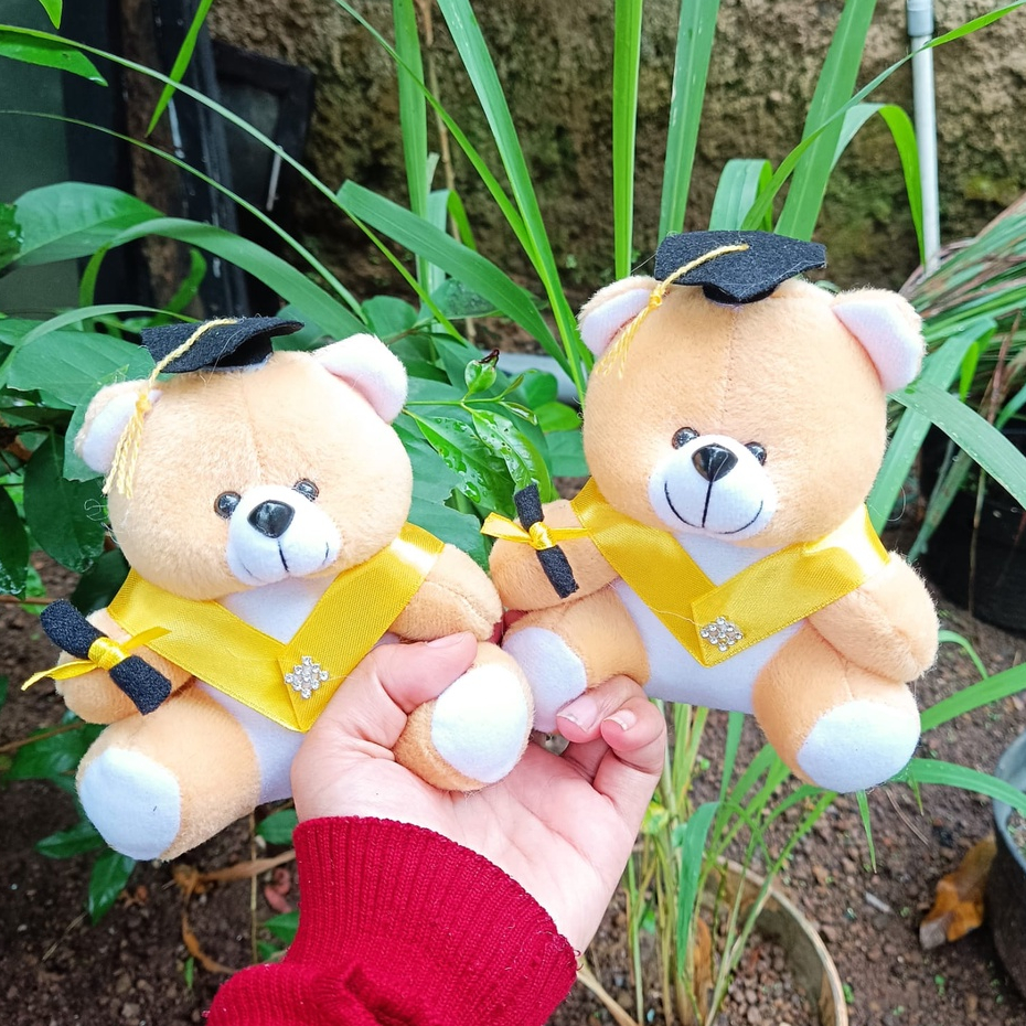 BONEKA BERUANG VELBOA / BONEKA BUKET / BONEKA WISUDA